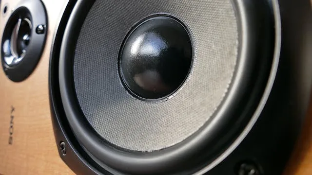 Som