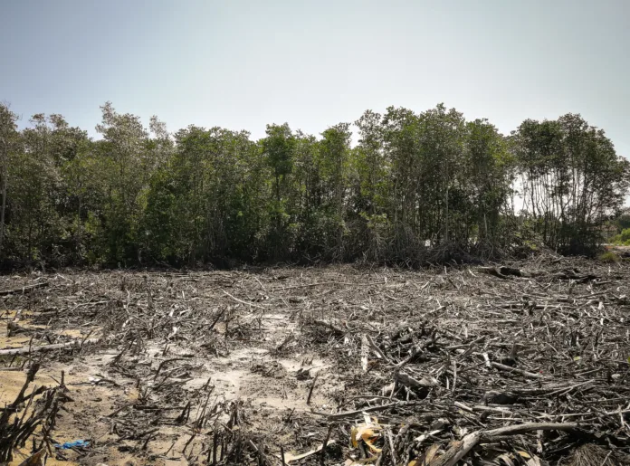 Ministros do STJ analisam parâmetros de dano moral coletivo por lesão ambiental